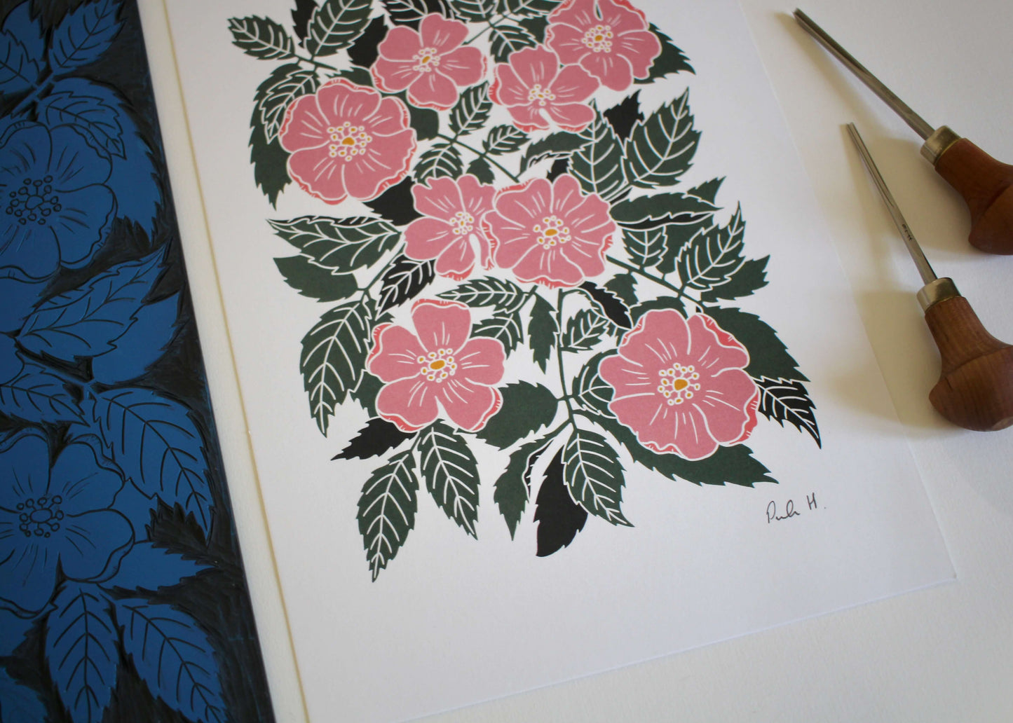 Dog Rose Linocut Art Print | A4 Art Print on Cotton Paper