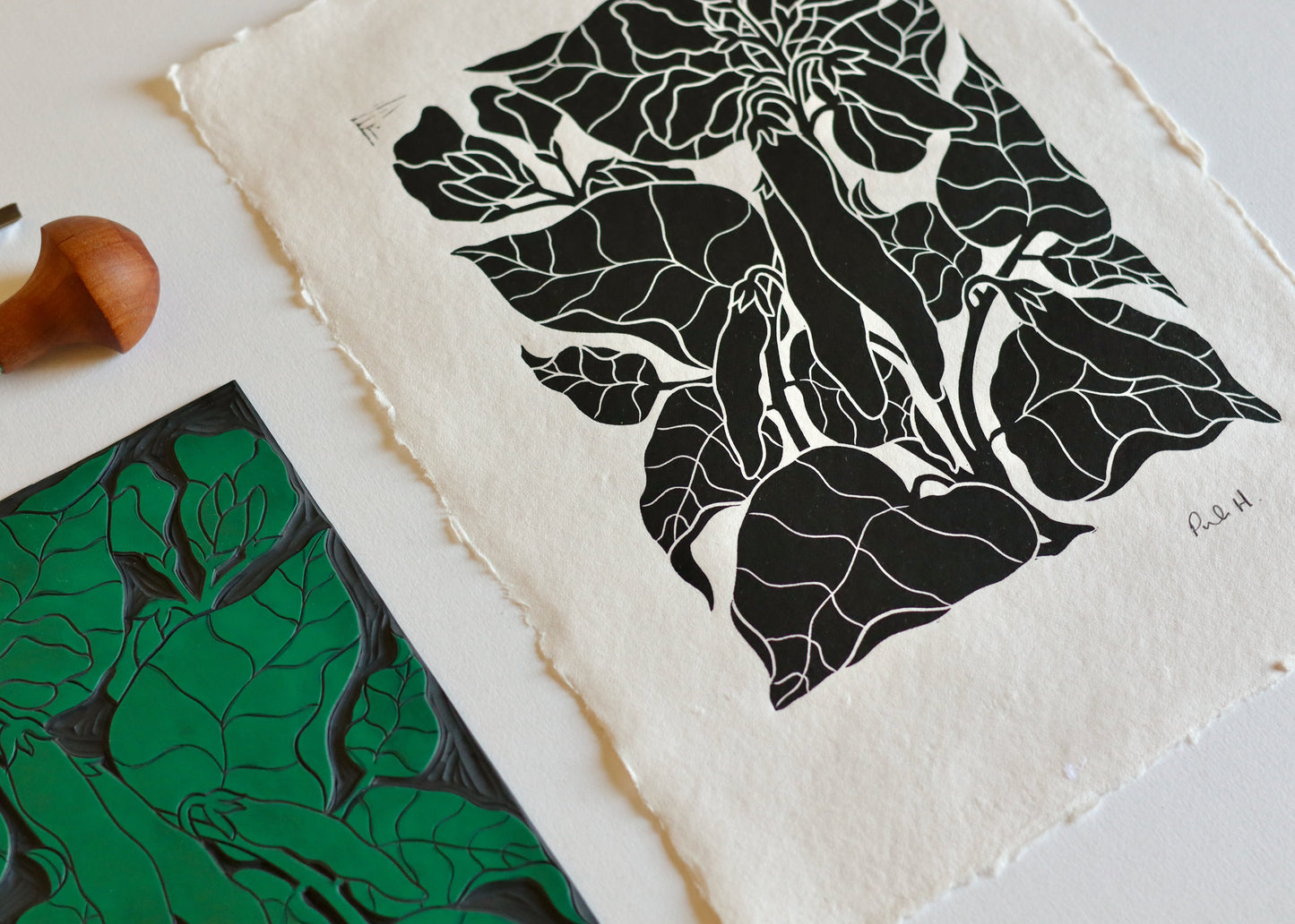 Heritage Kitchen Garden - Runner Beans | Hand printed on Cotton Rag Paper