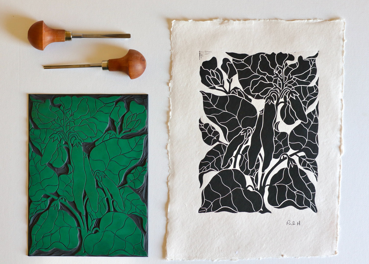 Heritage Kitchen Garden - Runner Beans | Hand printed on Cotton Rag Paper