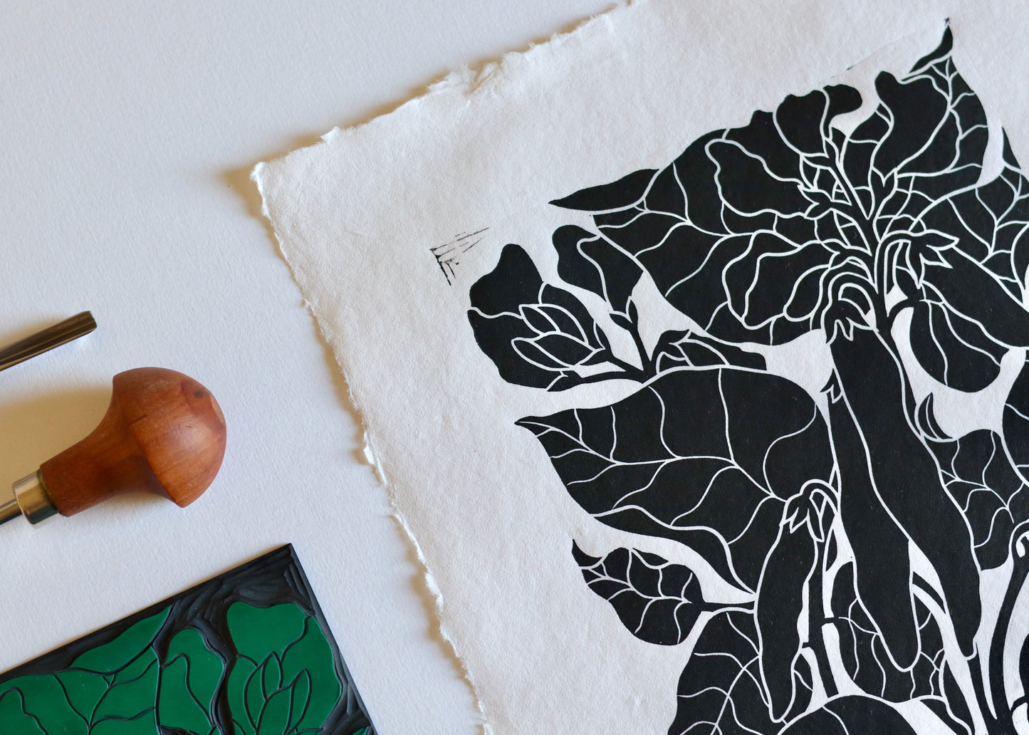 Heritage Kitchen Garden - Runner Beans | Hand printed on Cotton Rag Paper