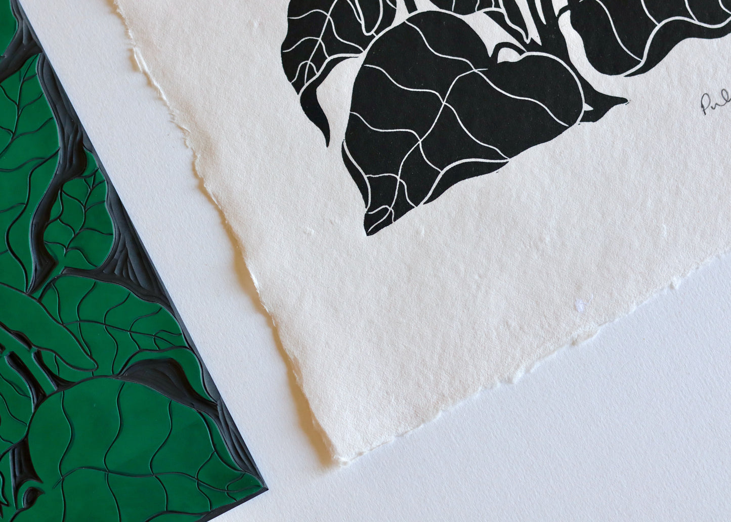 Heritage Kitchen Garden - Runner Beans | Hand printed on Cotton Rag Paper