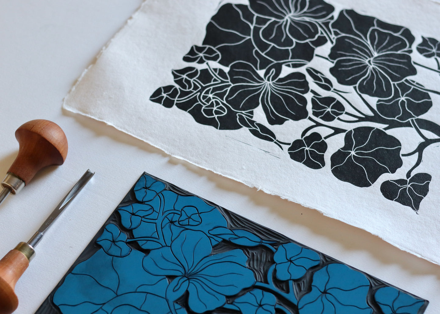 Heritage Kitchen Garden - Nasturtium | Hand printed on Cotton Rag Paper