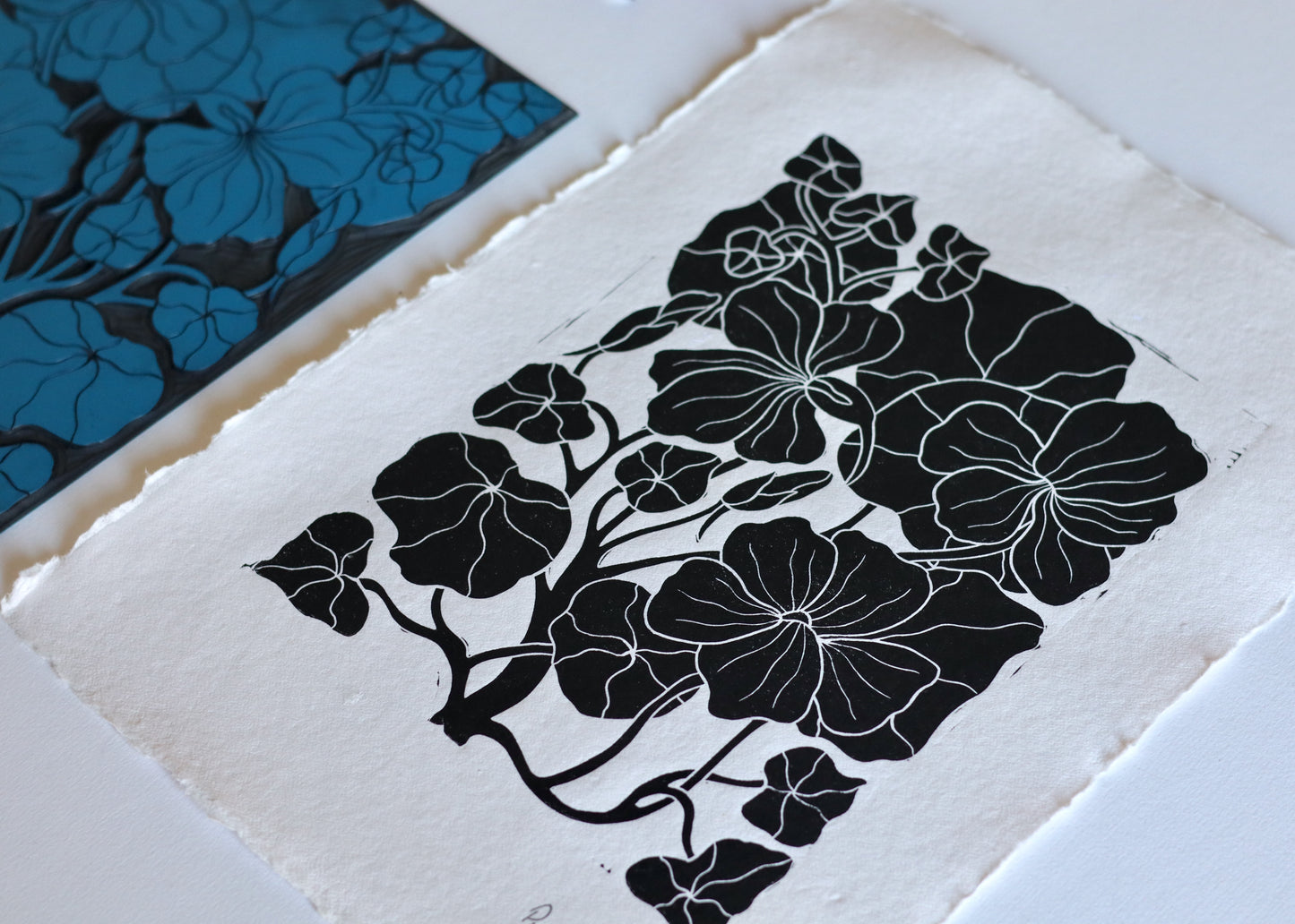 Heritage Kitchen Garden - Nasturtium | Hand printed on Cotton Rag Paper