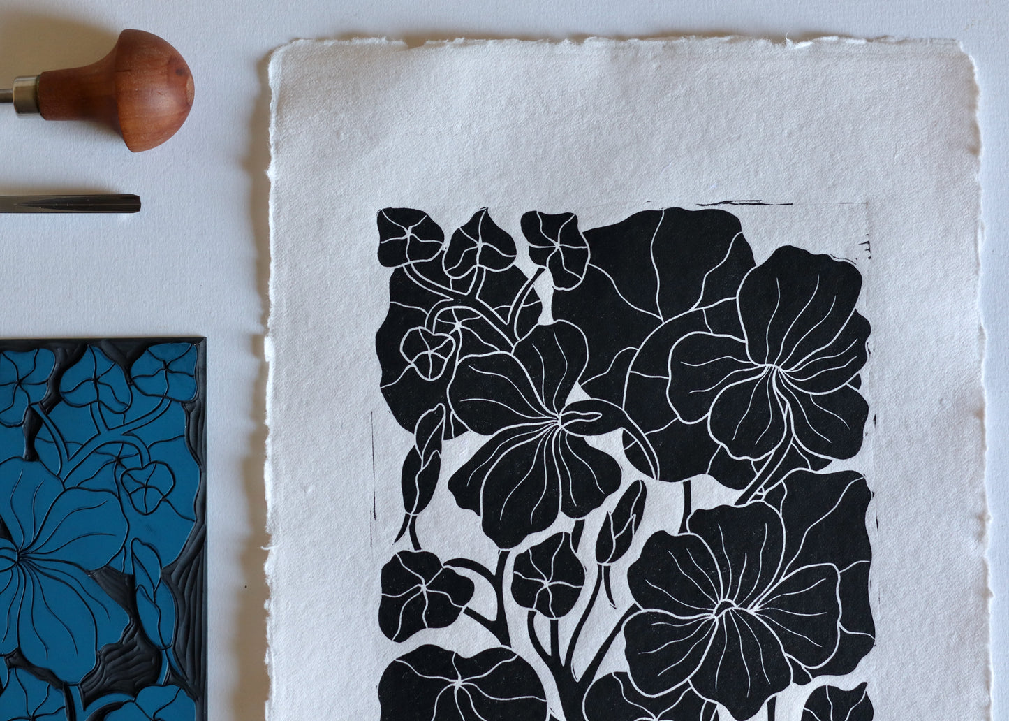 Heritage Kitchen Garden - Nasturtium | Hand printed on Cotton Rag Paper
