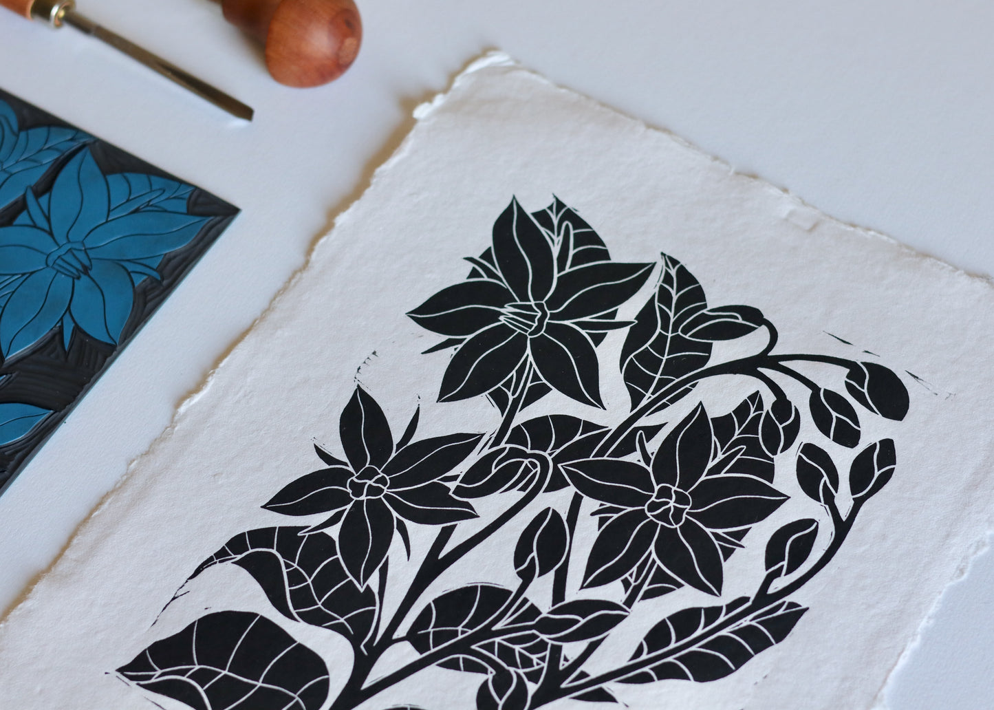 Heritage Kitchen Garden - Borage | Hand printed on Cotton Rag Paper