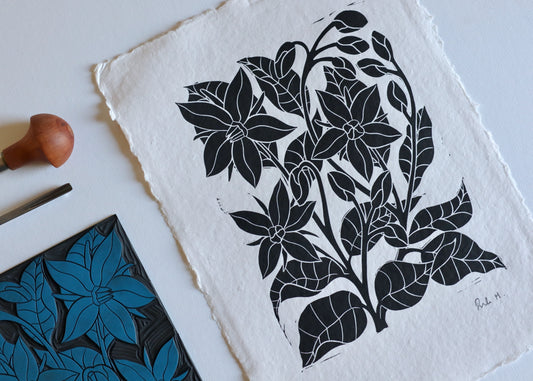 Heritage Kitchen Garden - Borage | Hand printed on Cotton Rag Paper