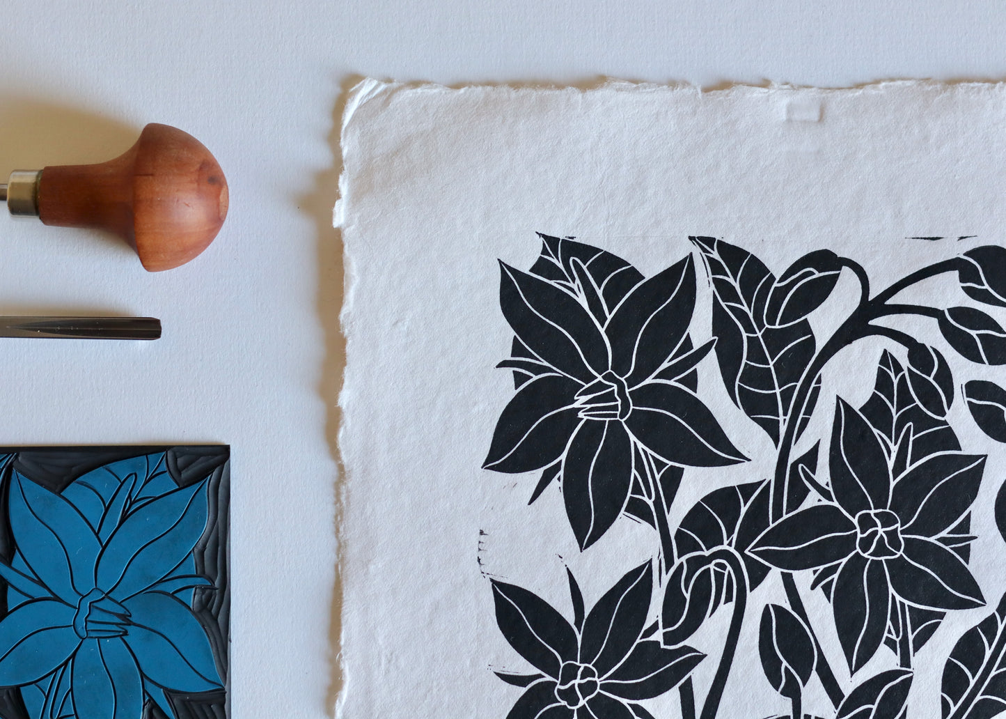 Heritage Kitchen Garden - Borage | Hand printed on Cotton Rag Paper