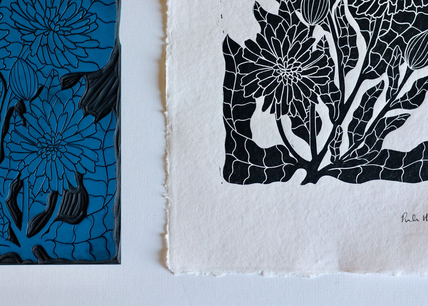 Heritage Kitchen Garden - Calendula | Hand printed on Cotton Rag Paper