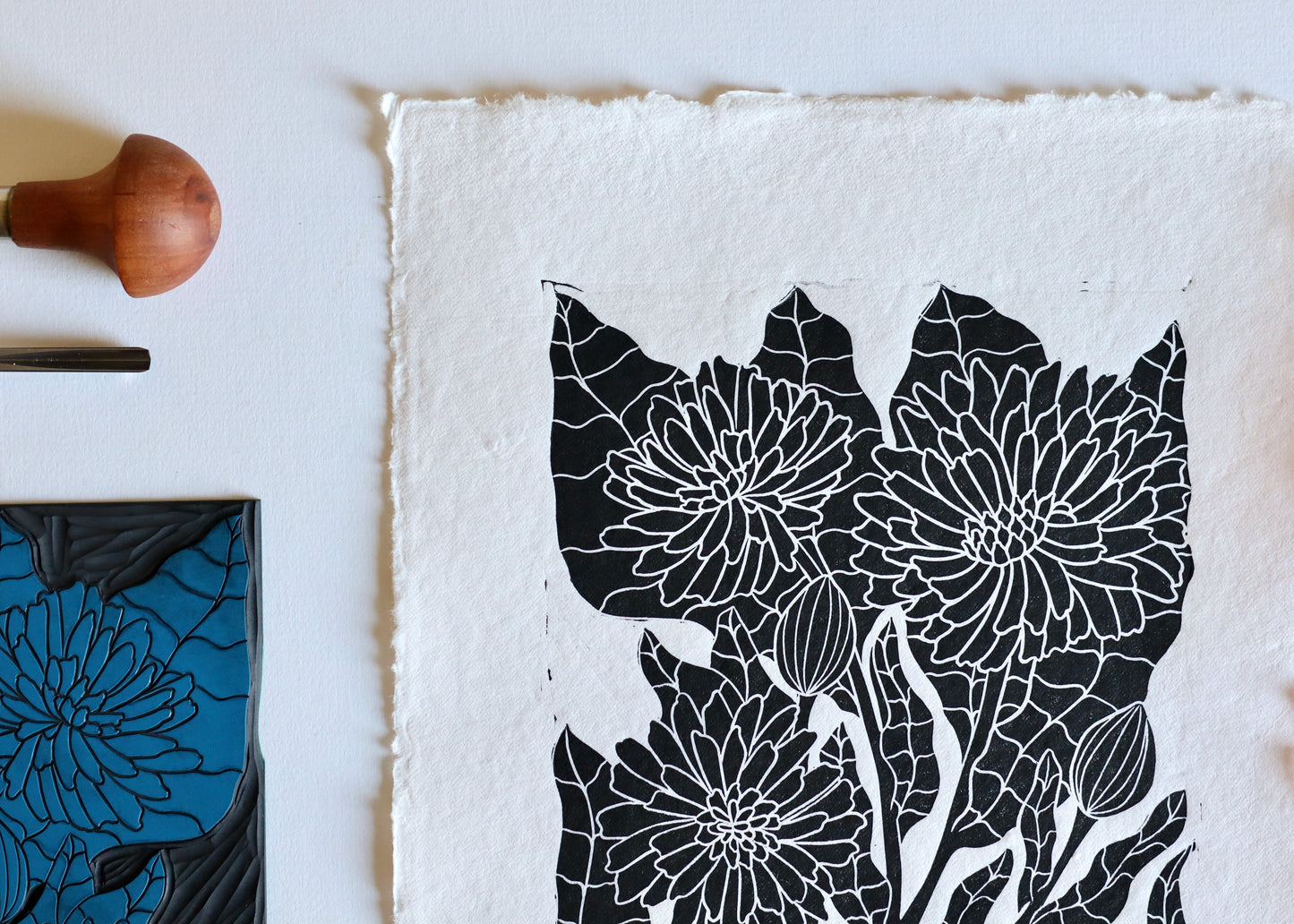 Heritage Kitchen Garden - Calendula | Hand printed on Cotton Rag Paper