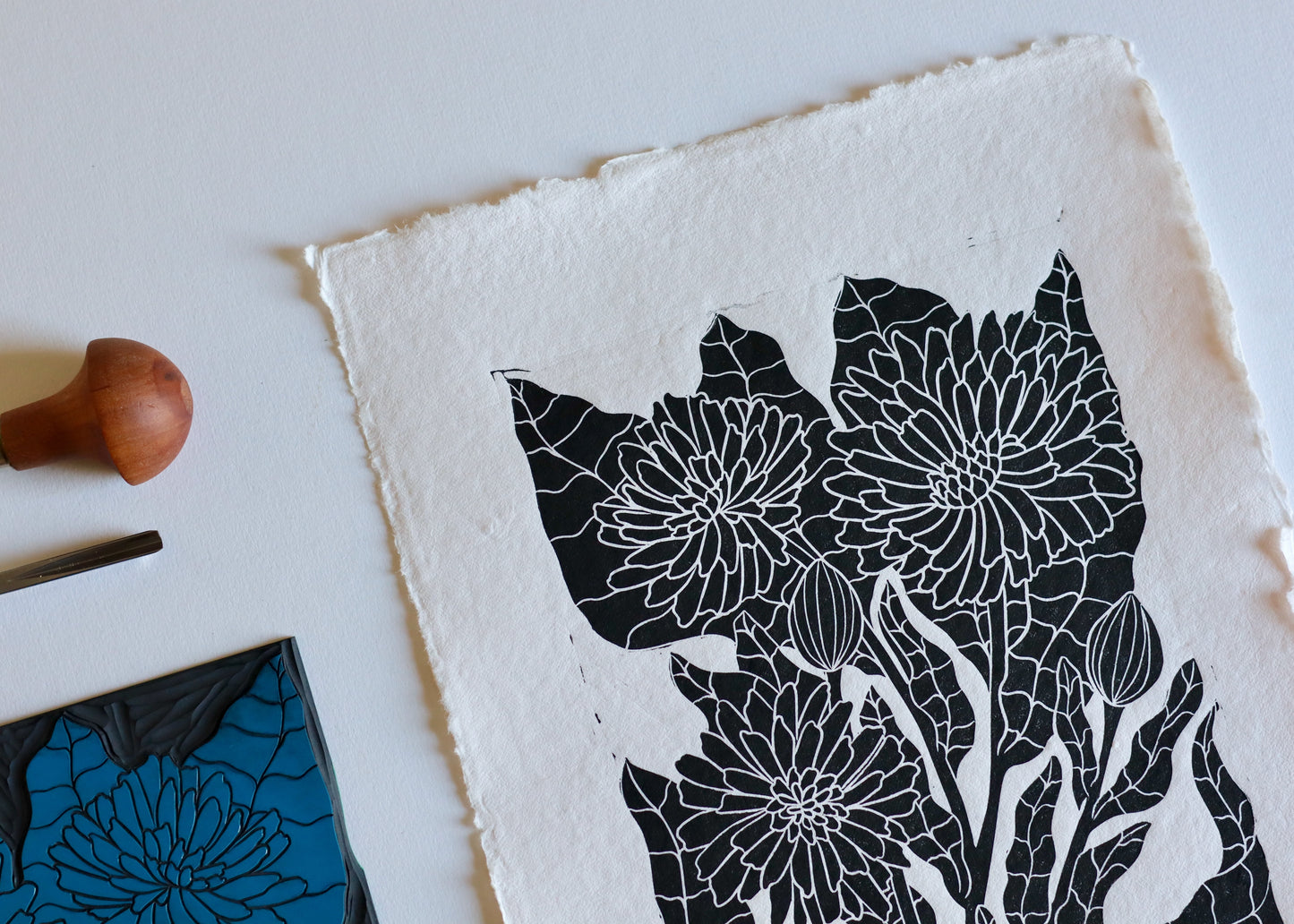 Heritage Kitchen Garden - Calendula | Hand printed on Cotton Rag Paper