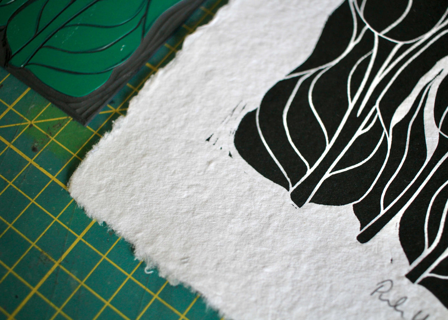 Hand Printed Tulip Flower Linocut on Cotton Rag Paper
