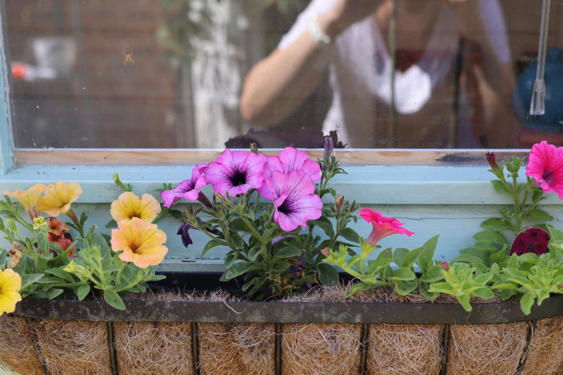Studio Notes: Mid-week baking, half-term breaks & the art of the ebb