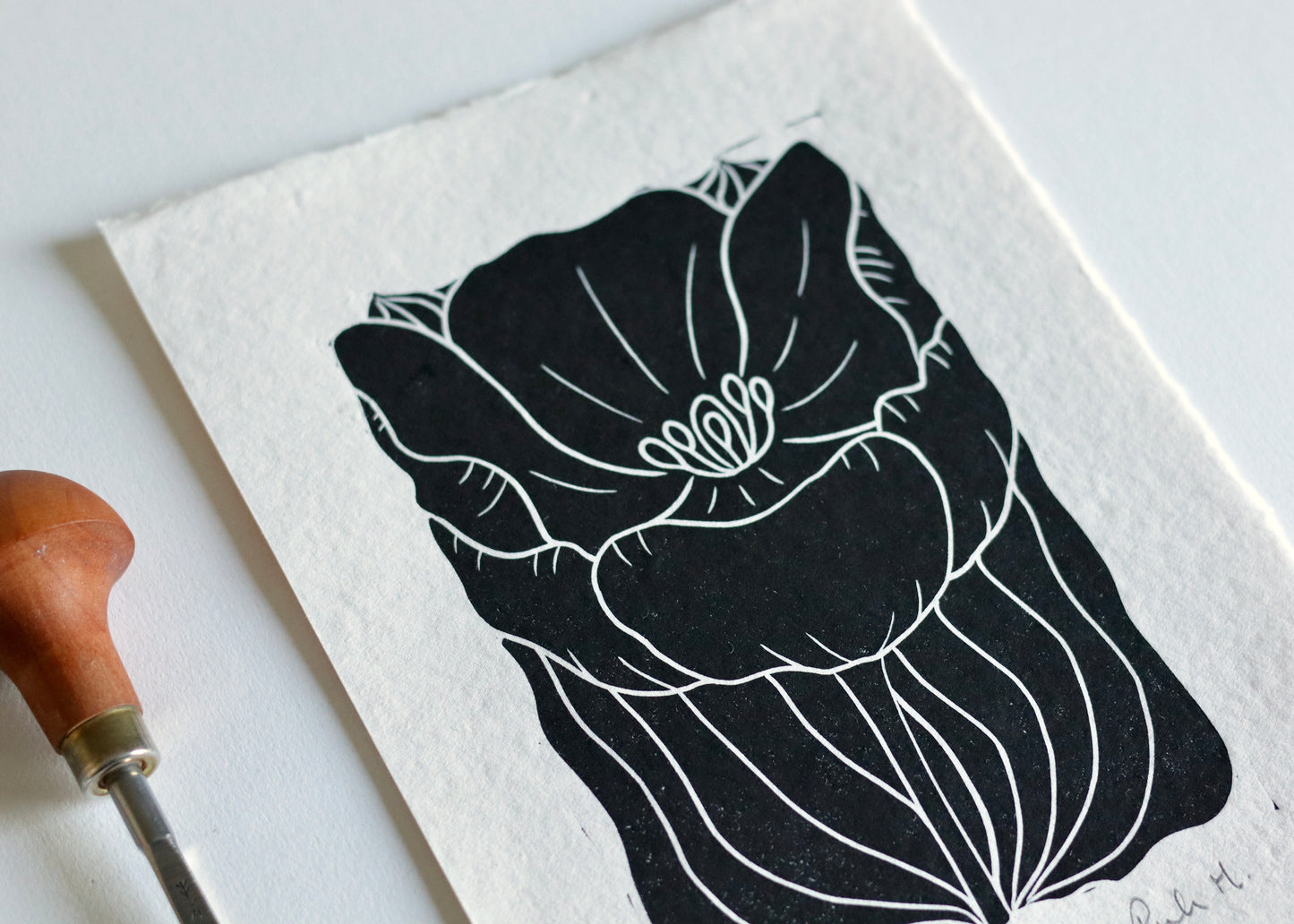 Tulip in Bloom Linocut Print | Handprinted A5 Art Print on Cotton Rag Paper