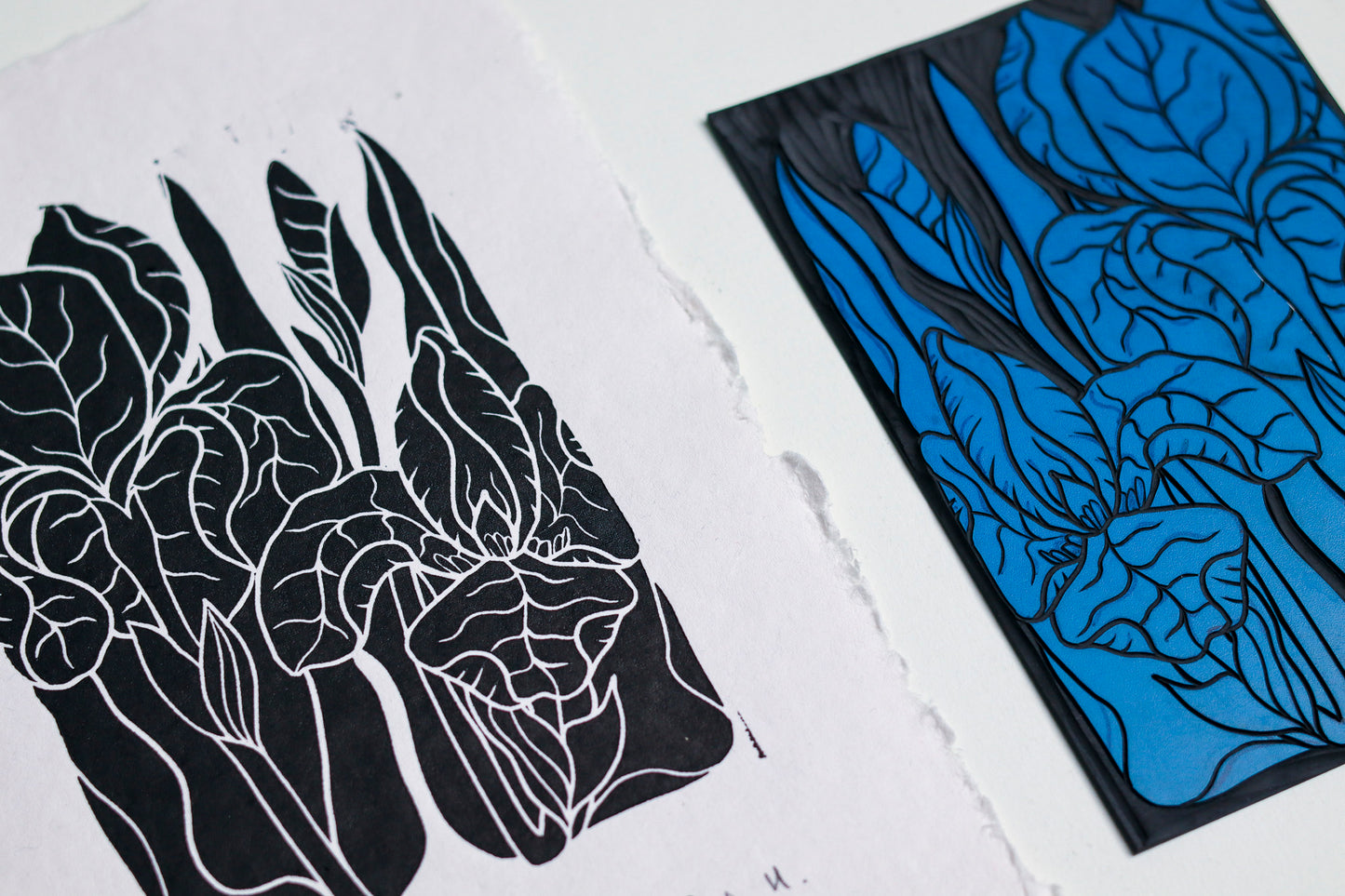 Iris in the Garden Linocut | Handprinted A5 Art Print on Cotton Rag Paper