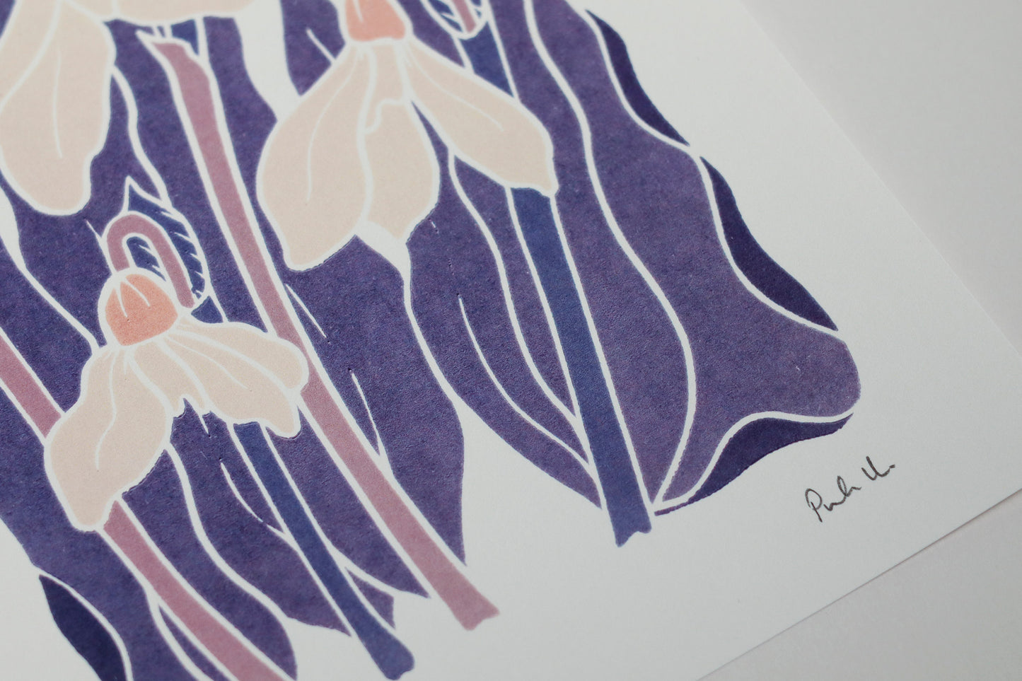 Snowdrops in the Night Garden | Art Print on Cotton Paper