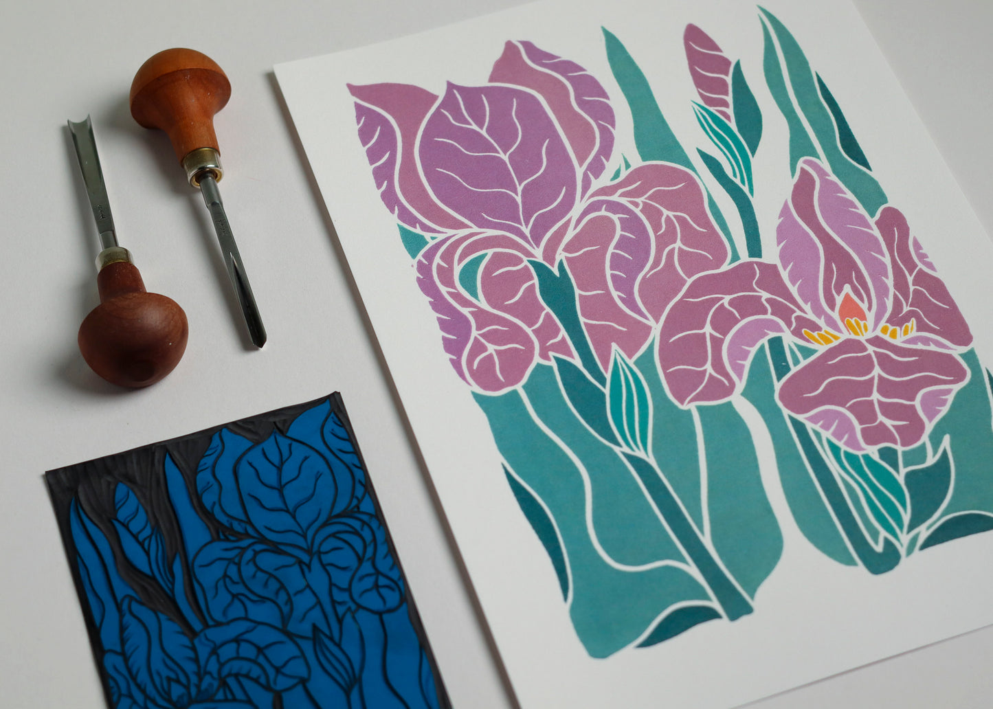 Iris at Dusk | Art Print on Cotton Paper