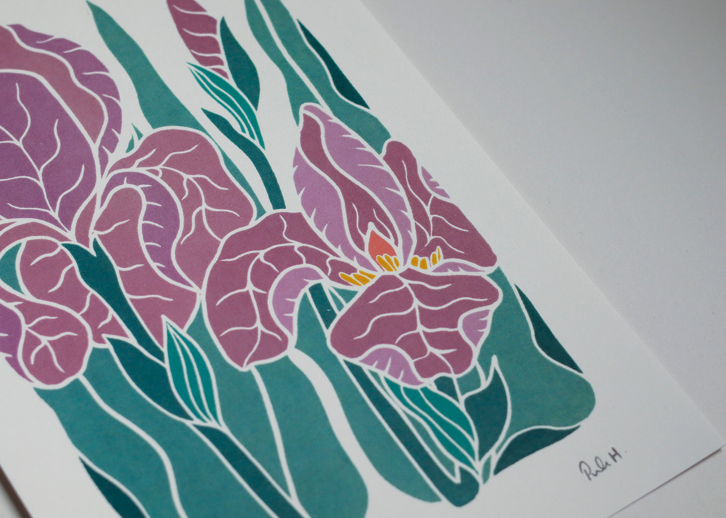 Iris at Dusk | Art Print on Cotton Paper