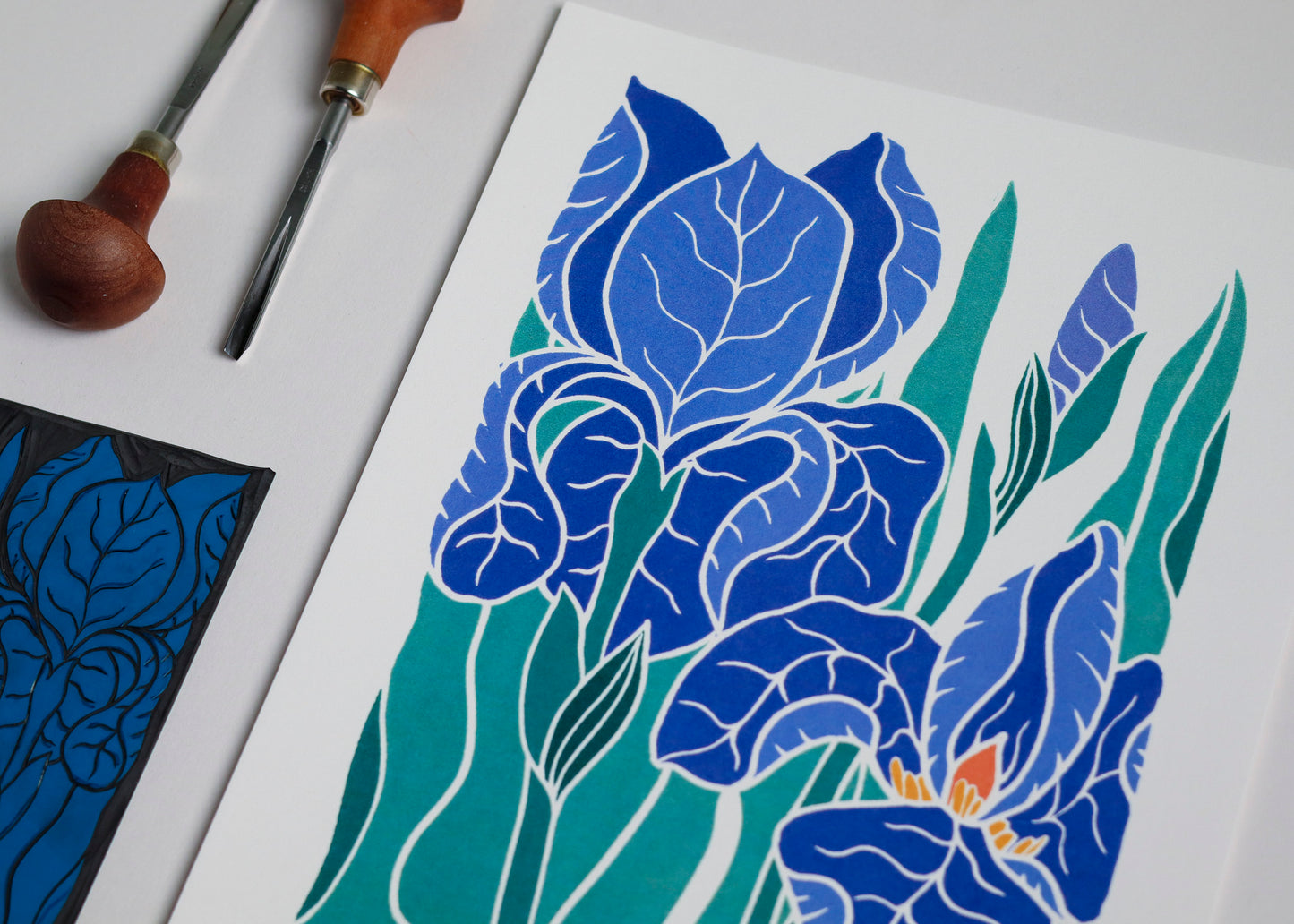 Iris in the Garden | Art Print on Cotton Paper