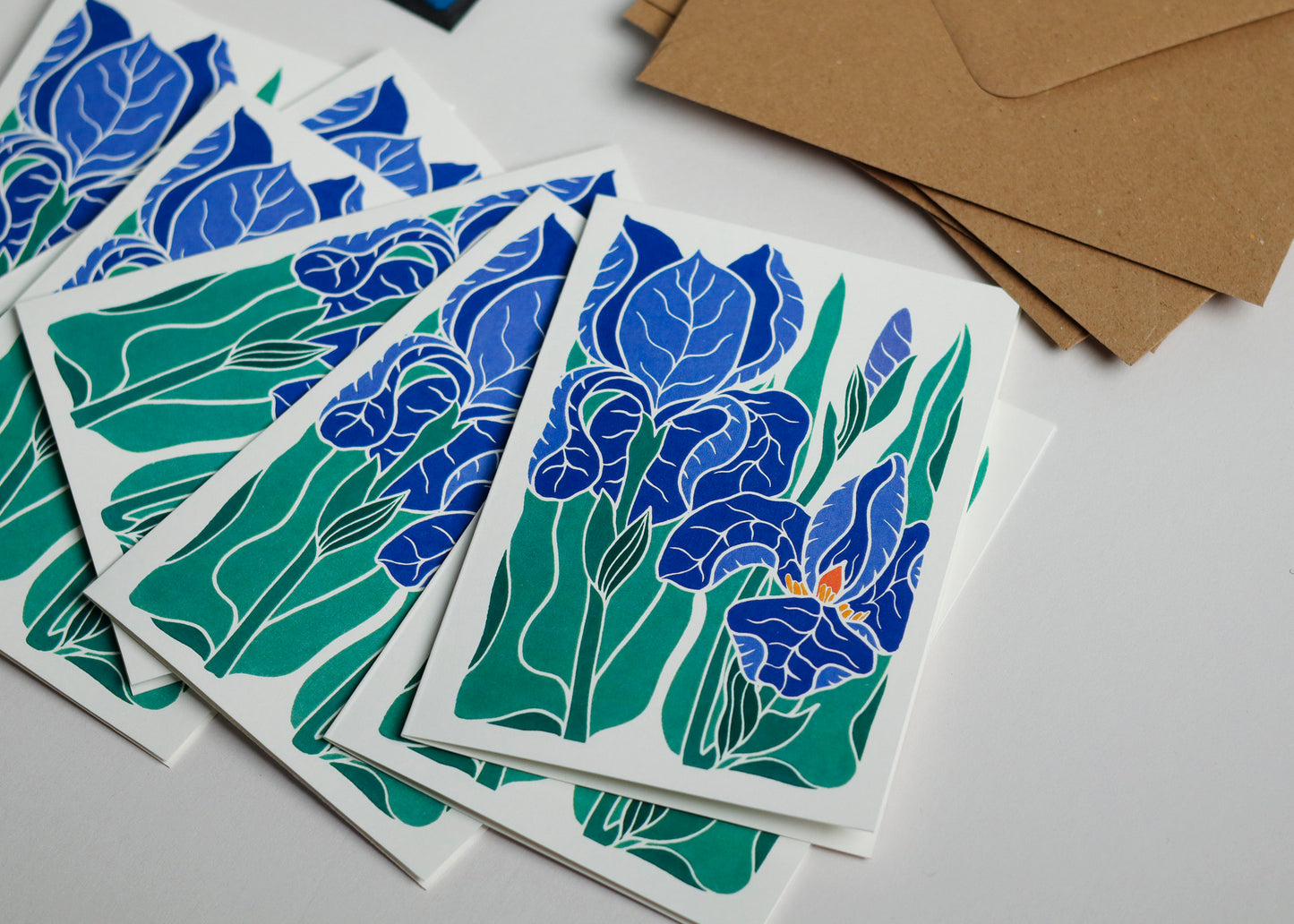 Iris in the Garden | Set of 8 Notecards & Envelopes