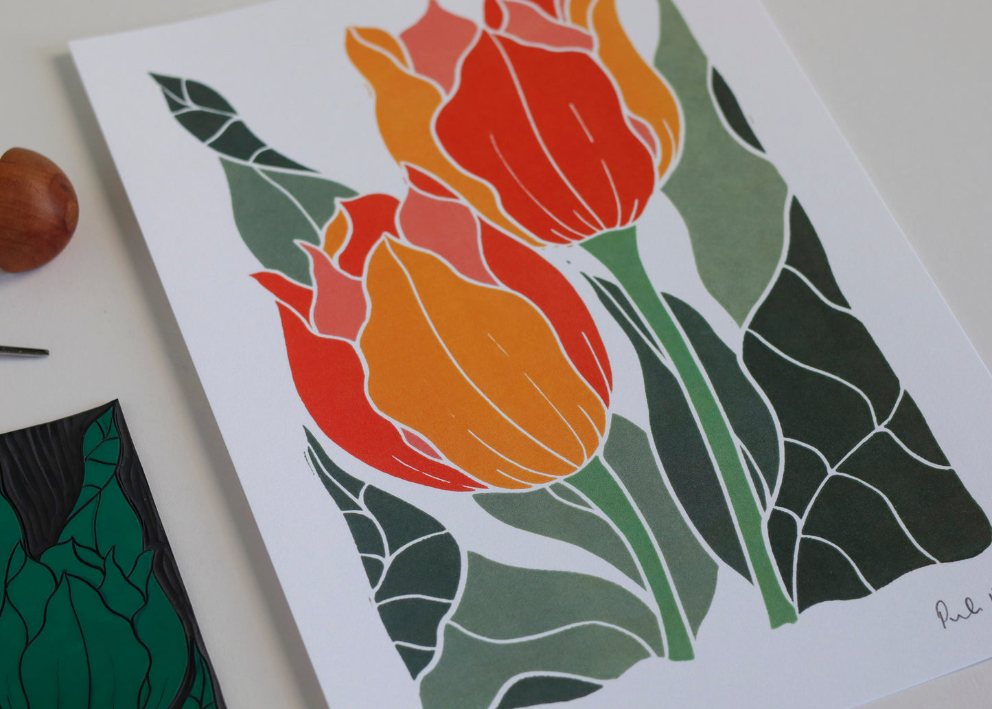 Sunset Tulips | Art Print on Cotton Paper