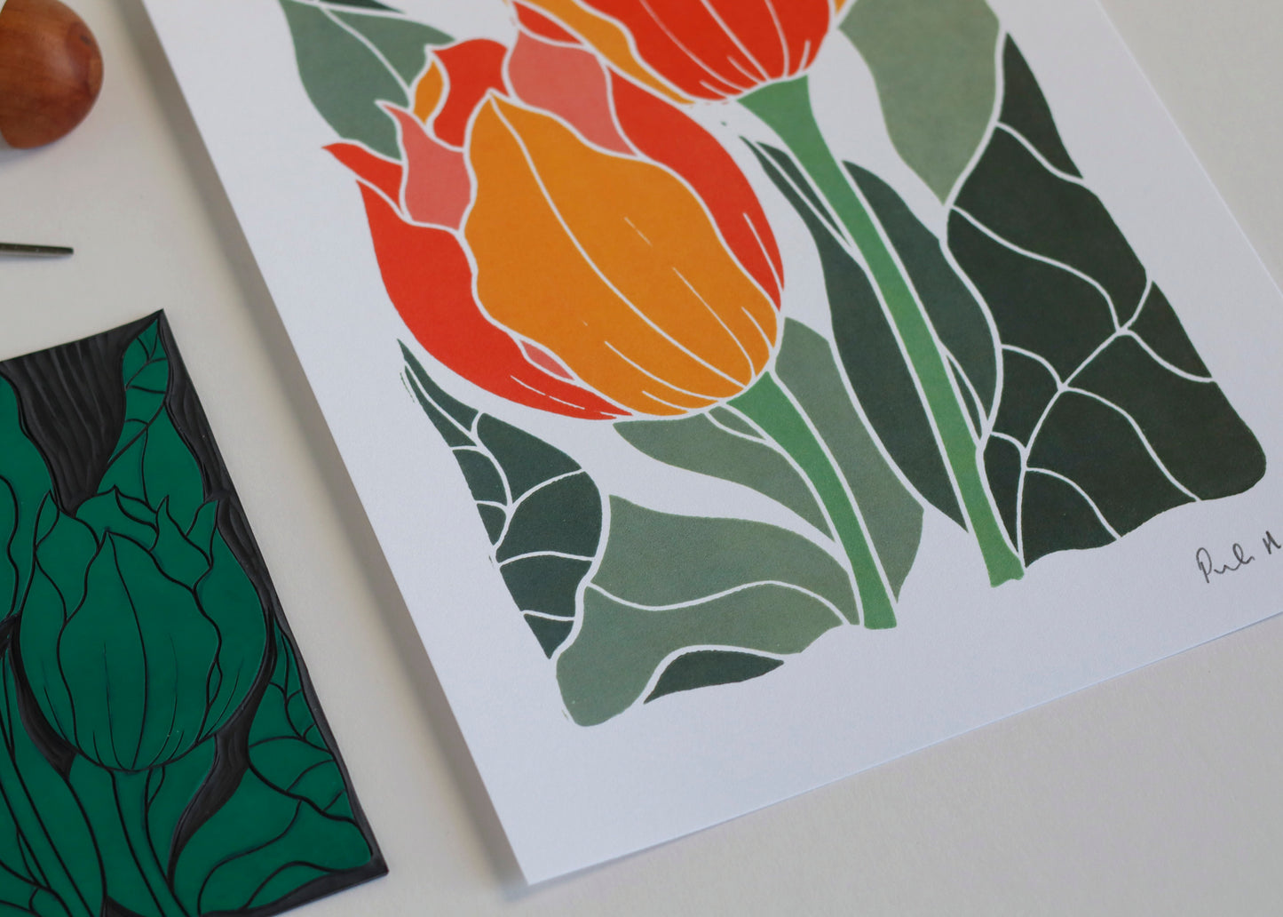 Sunset Tulips | Art Print on Cotton Paper